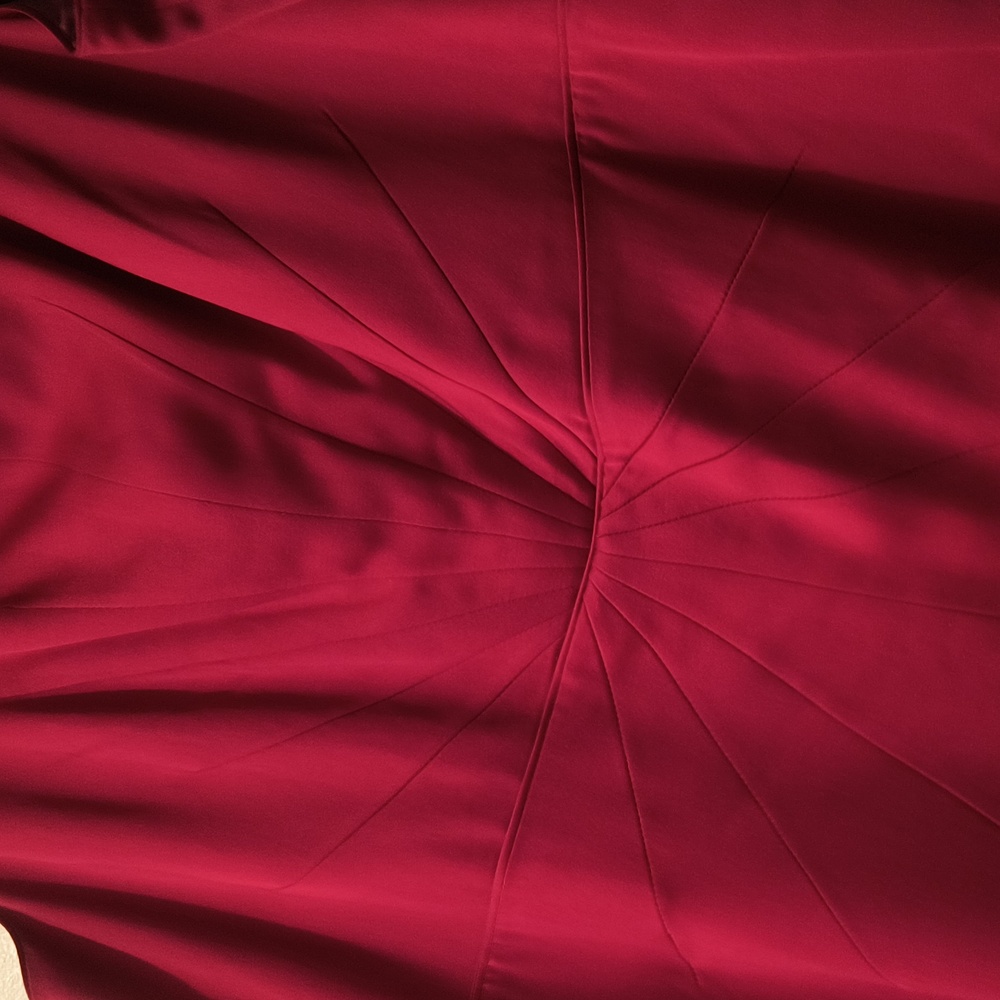 Holiday Dressing! Banana Republic sophisticated garnet red dress! 12